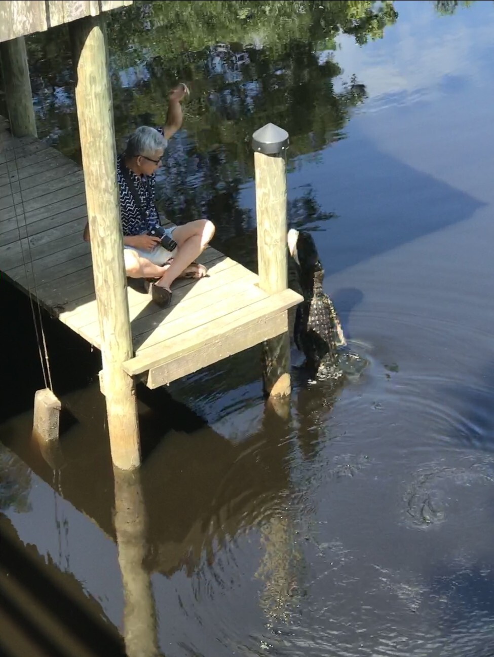 The Real Moment – Alligator Leap in Louisiana The split second captured from the upper balcony when an alligator suddenly rose from the water beside the dock — the real moment behind MOMENT No. 002.