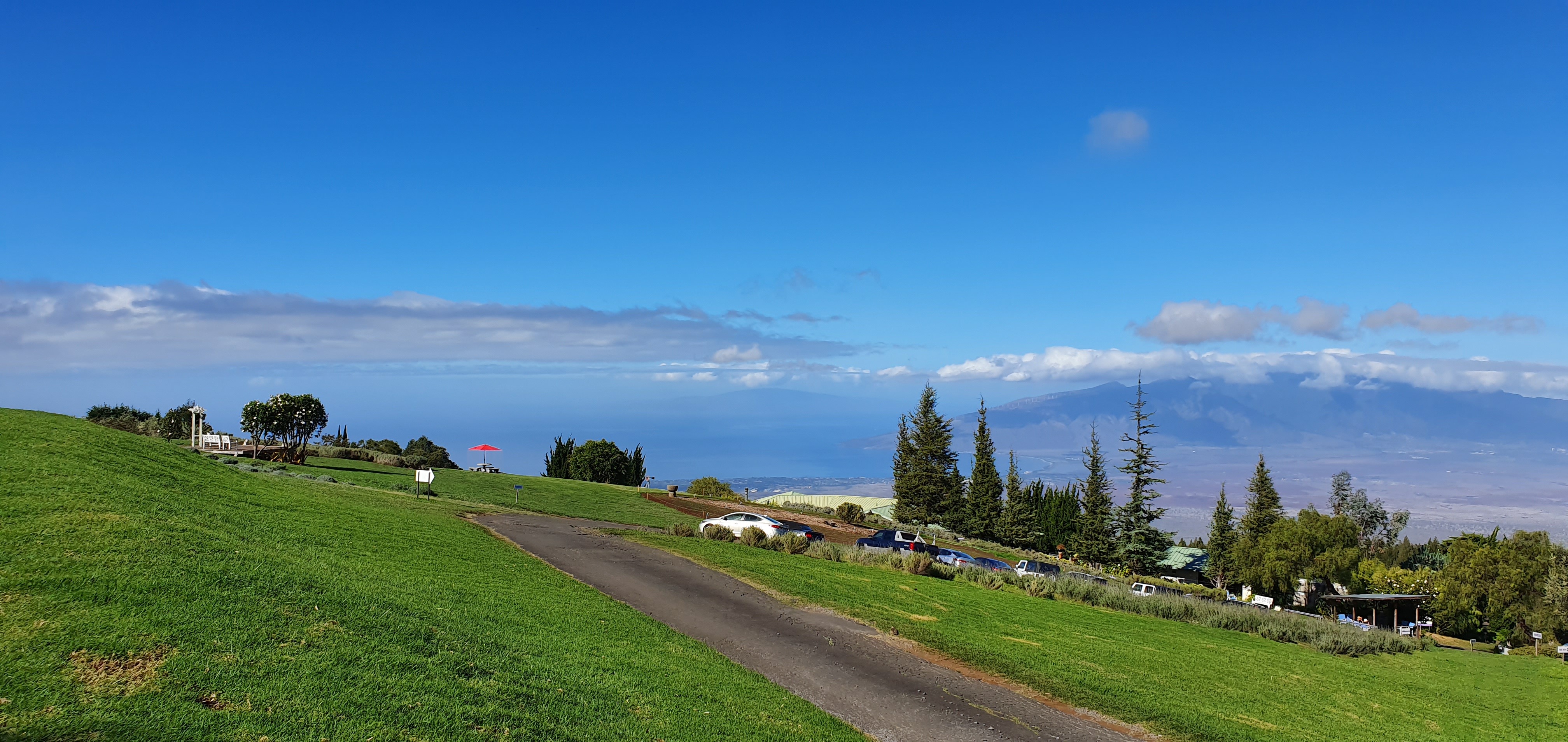 Away from Maui&rsquo;s coastline, Upcountry offered a quieter landscape of greenery, open views and a completely different side of the island.