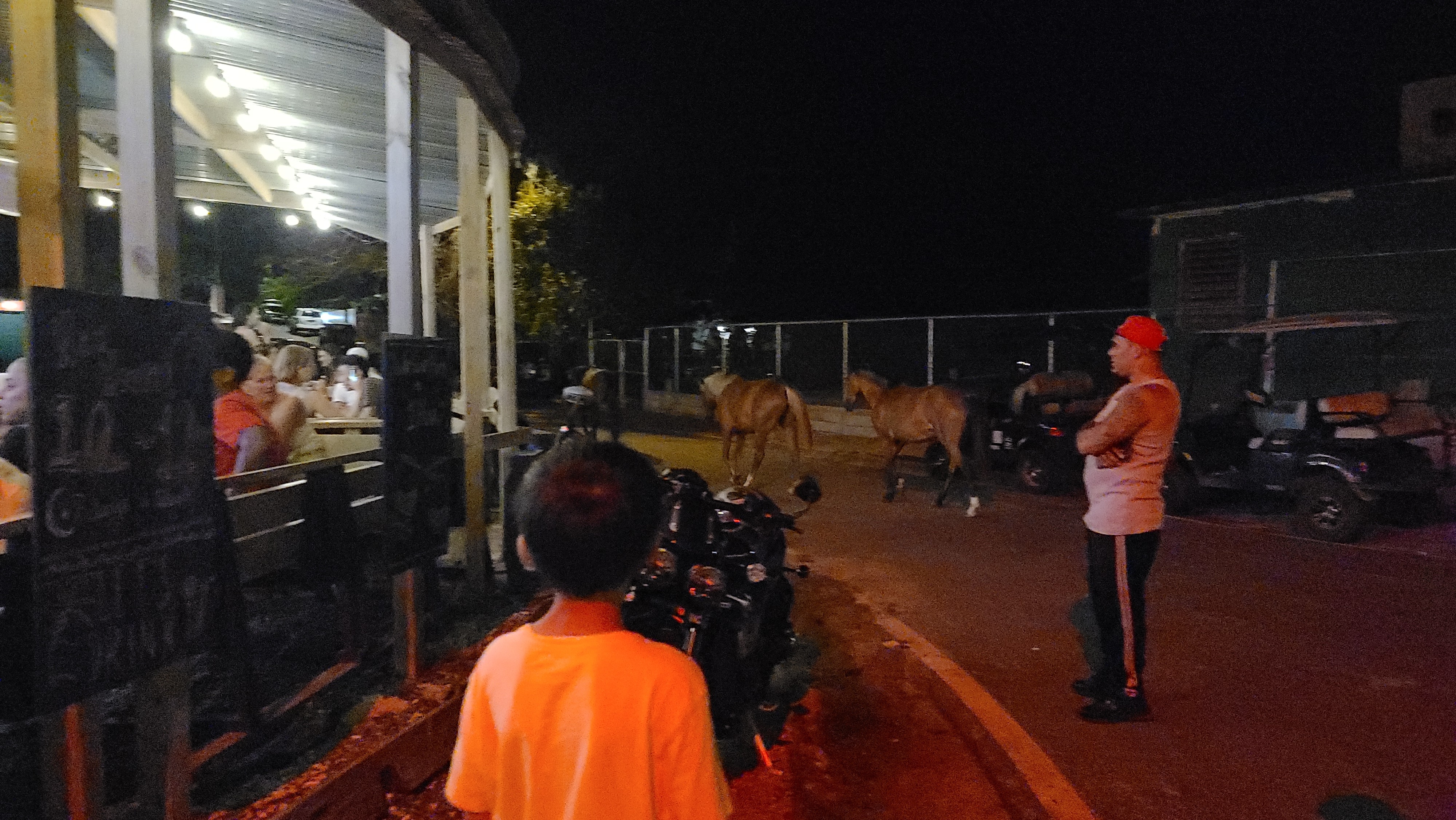 The moment free-roaming horses wandered naturally through town at night &mdash; the scene that became the inspiration for MOMENT No. 005.