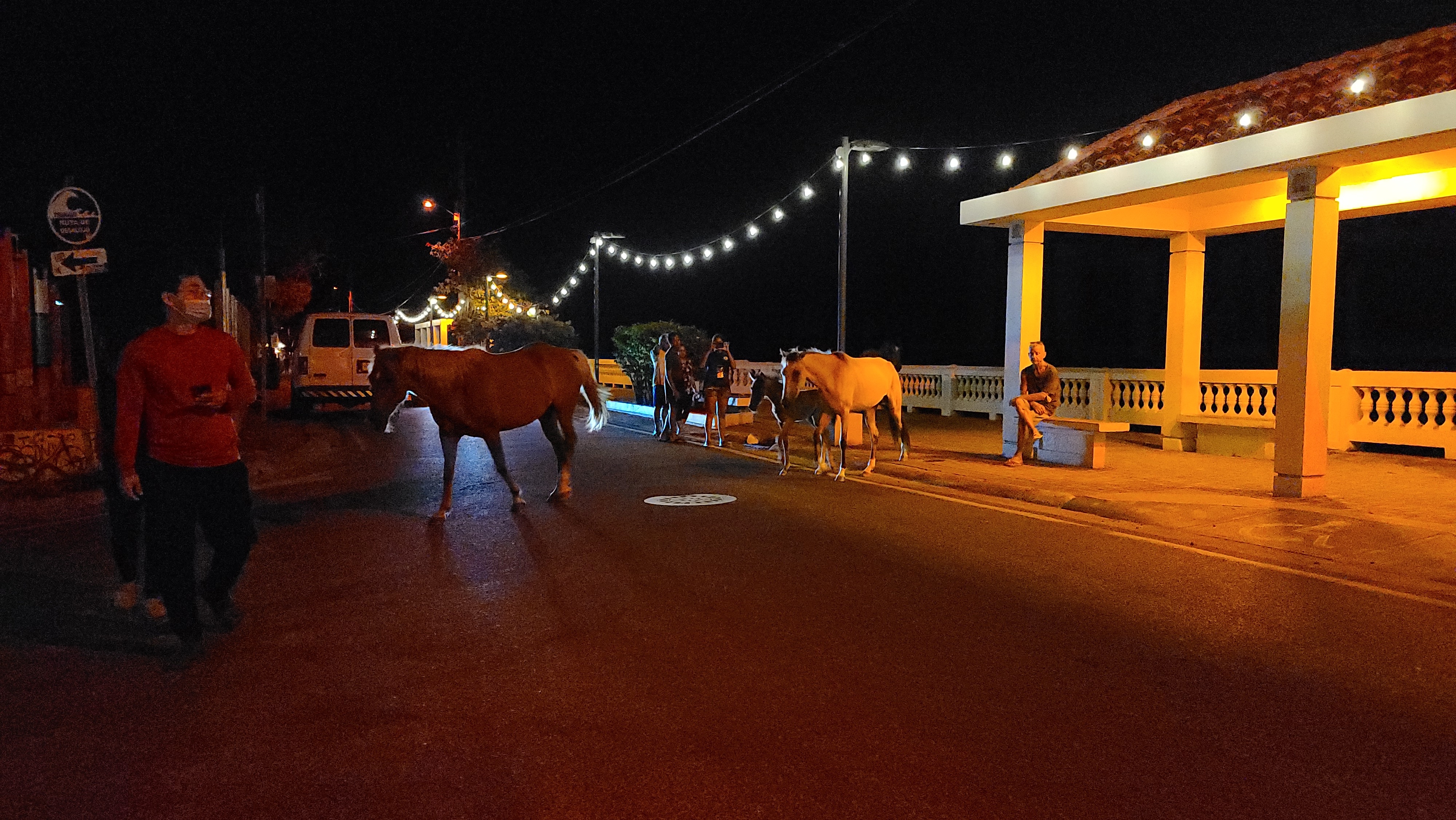 Warm streetlights and the relaxed evening atmosphere created the setting for the unexpected encounter with horses in town.