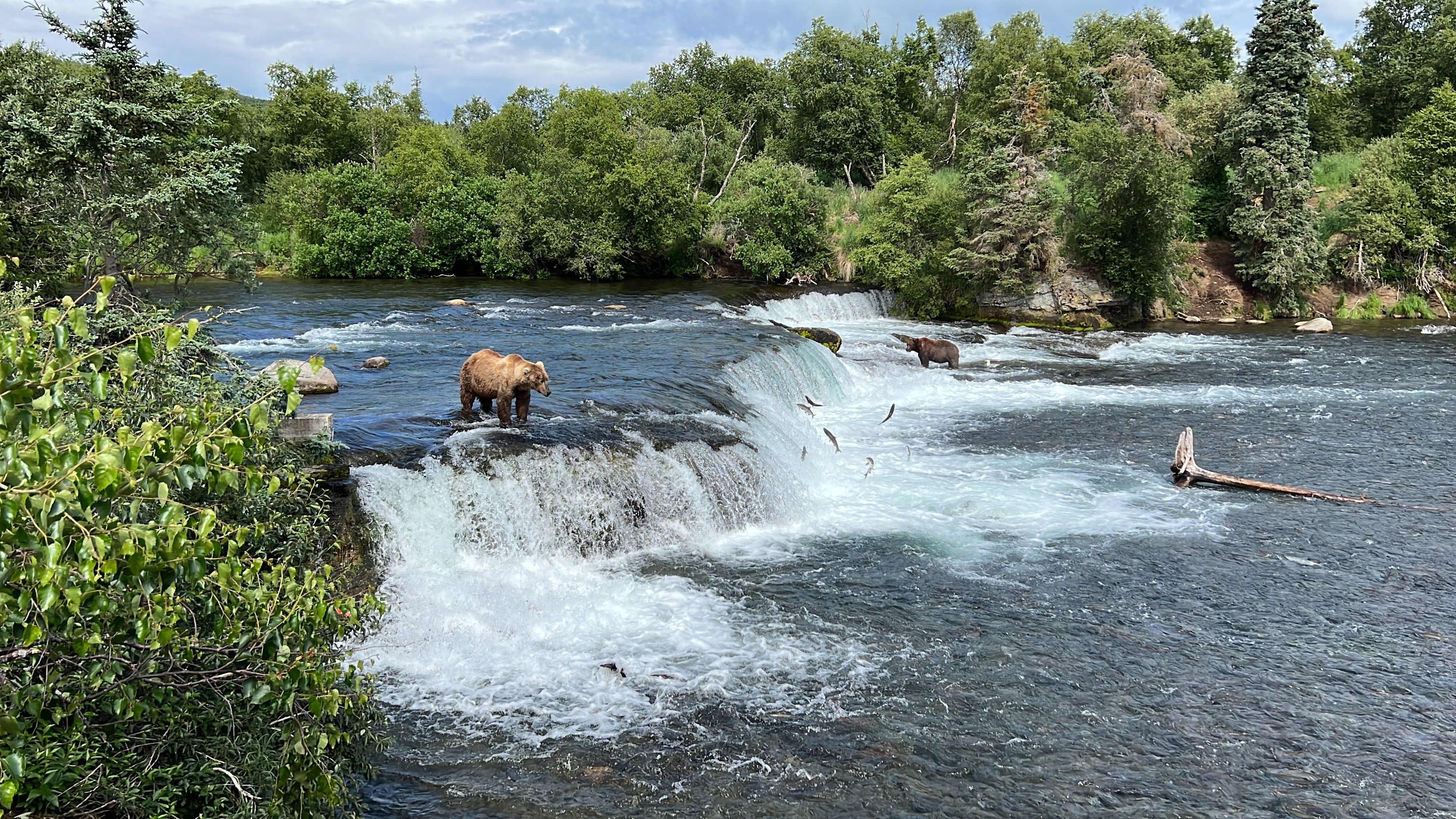 Brooks River connects the salmon, bears and wilderness that shaped the story behind MOMENT No. 006.