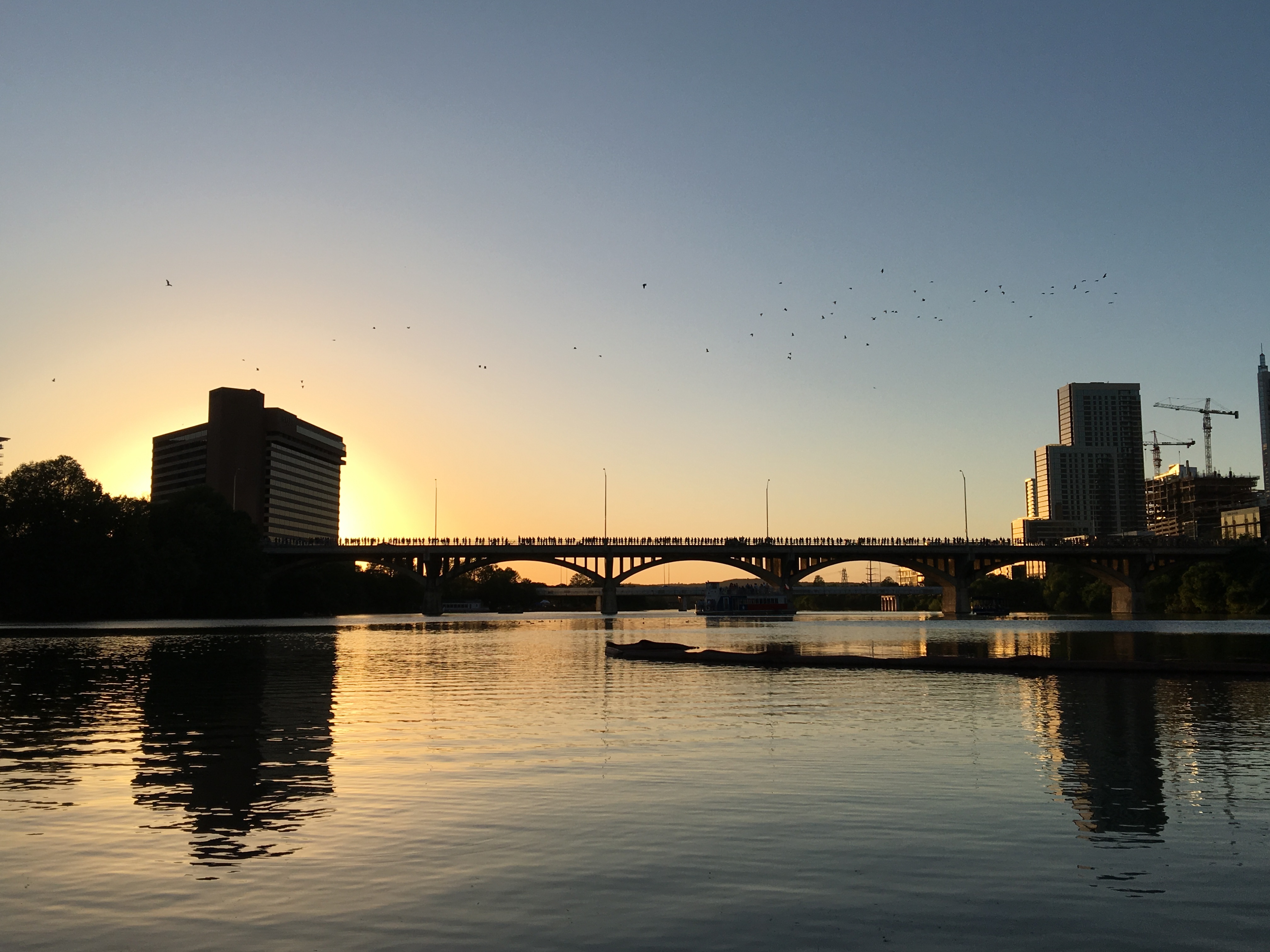 Before the bats appeared, Congress Avenue Bridge looked calm and ordinary &mdash; the perfect contrast to what happened moments later.
